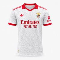 Player Version
