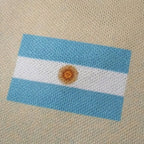 Argentina Cactus Jack Total 90 retro jersey - flag detail