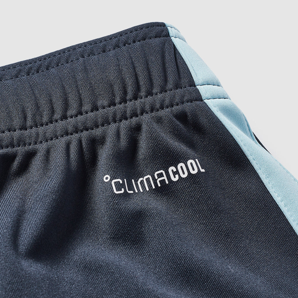 Argentina home shorts 2026 - matching shorts waistband detail