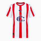 Chivas Guadalajara 2025/26 Special Edition Jersey - Front view