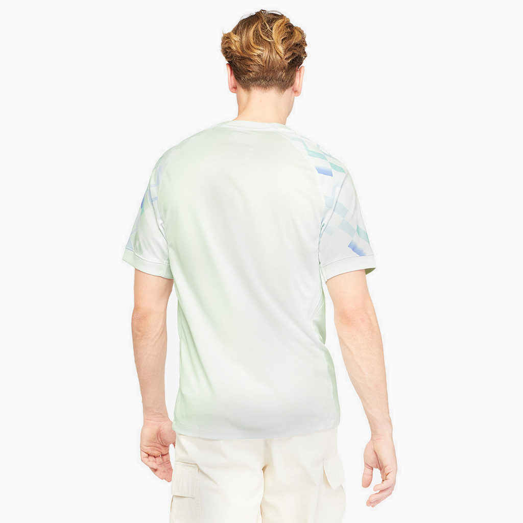 Inter Milan 2025/26 Away soccer jersey - back view on model