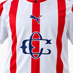 Chivas Guadalajara 2025/26 Special Edition Jersey — product detail 2