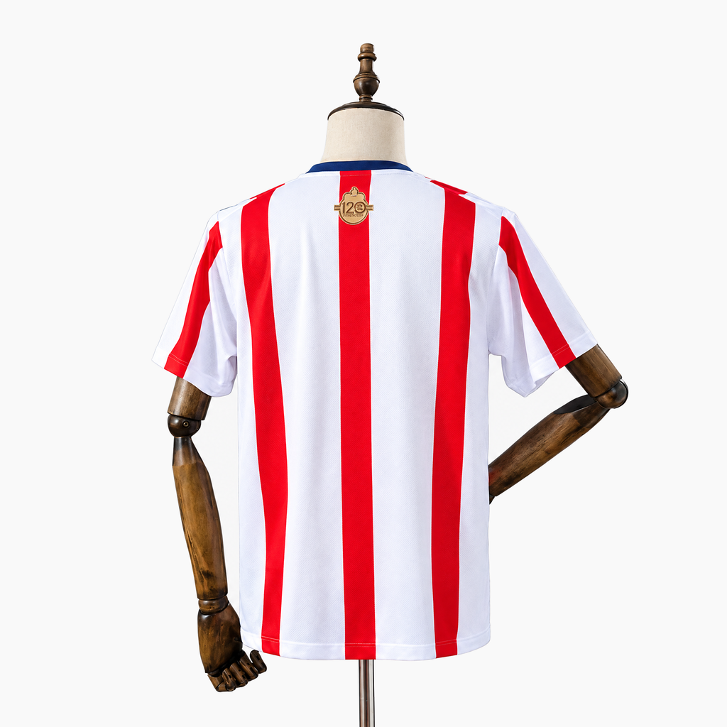 Chivas Guadalajara 2025/26 Special Edition Jersey — View 2