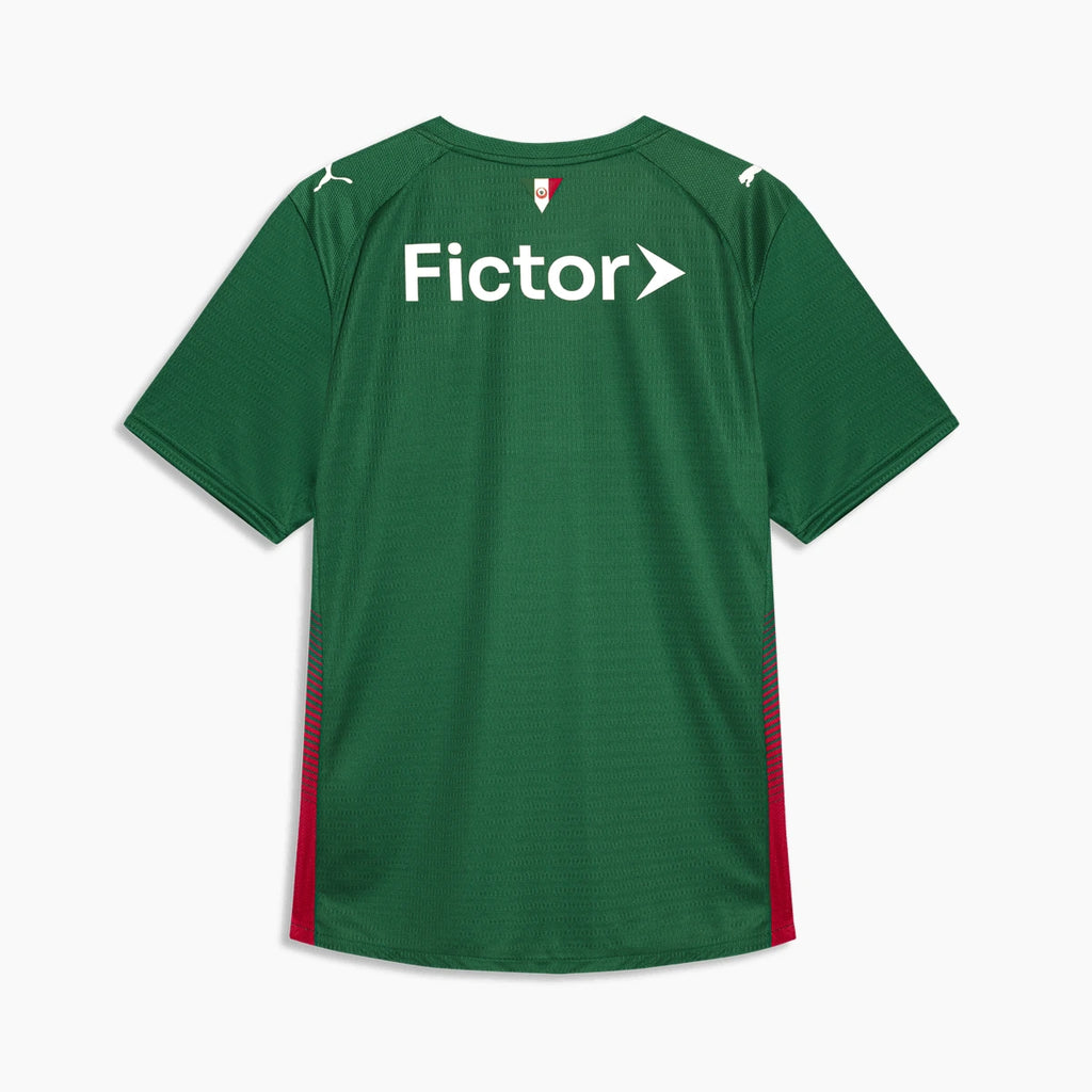 Palmeiras 2026/27 Home Jersey — back