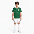 Palmeiras 2026/27 Home Kids Kit